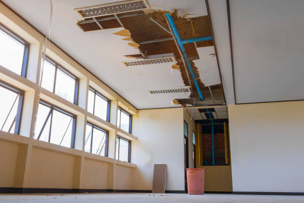 Best Commercial water damage restoration  in Brandon, FL