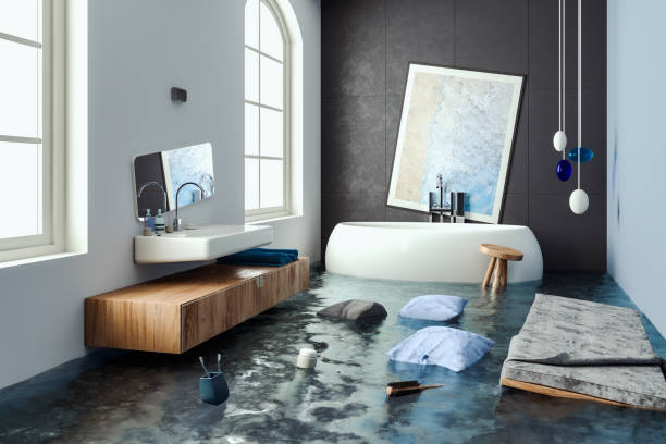 Best Water damage contractors near me  in Brandon, FL