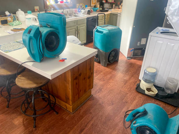 Best Flood damage cleanup  in Brandon, FL