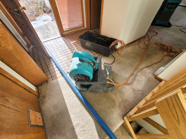 Best Fire Damage Restoration  in Brandon, FL