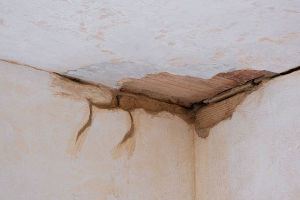 Reliable FL Water damage restoration Solutions