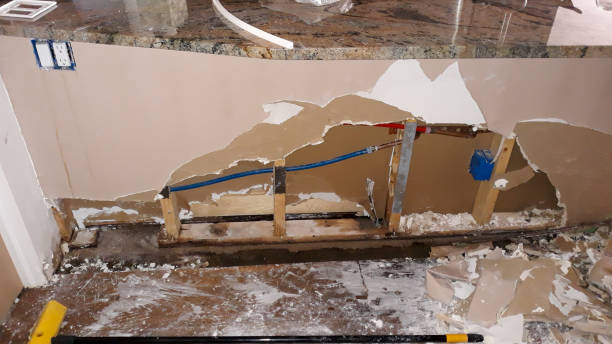 Best Ceiling water damage repair  in Brandon, FL