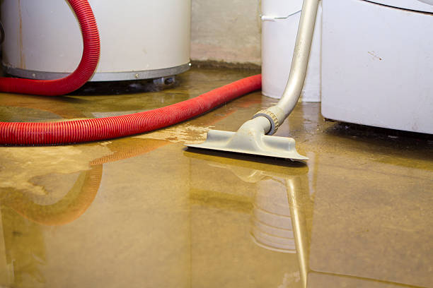 Best Water damage contractors near me  in Brandon, FL
