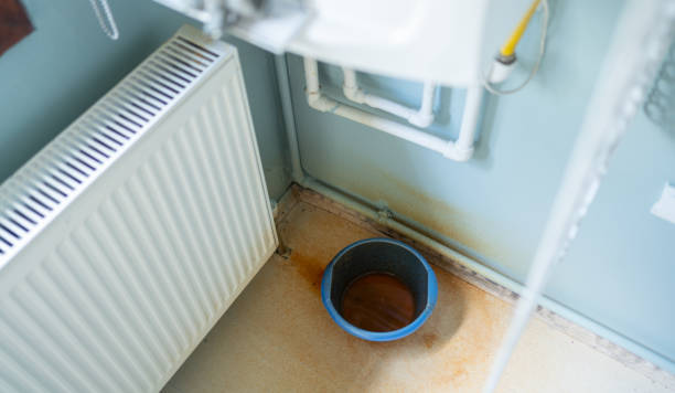 Best Carpet water damage restoration  in Brandon, FL