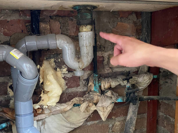 Best Fire Damage Restoration  in Brandon, FL