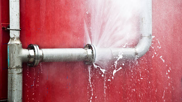 Best Carpet water damage restoration  in Brandon, FL