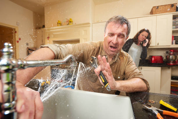 Best Water damage cleanup near me  in Brandon, FL